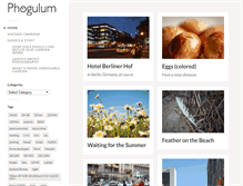 Tablet Screenshot of phogulum.com